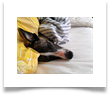 www.mywhippets.com